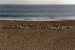 playa Taurito.jpg