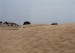 gc 57b Maspalomas-písečné duny.jpg